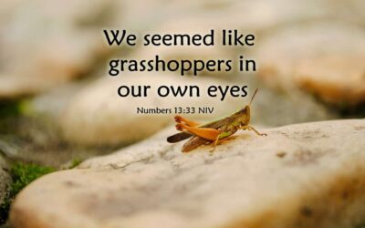 September – The Spice Letter