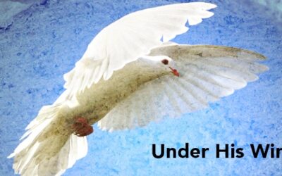 February – The Spice Letter