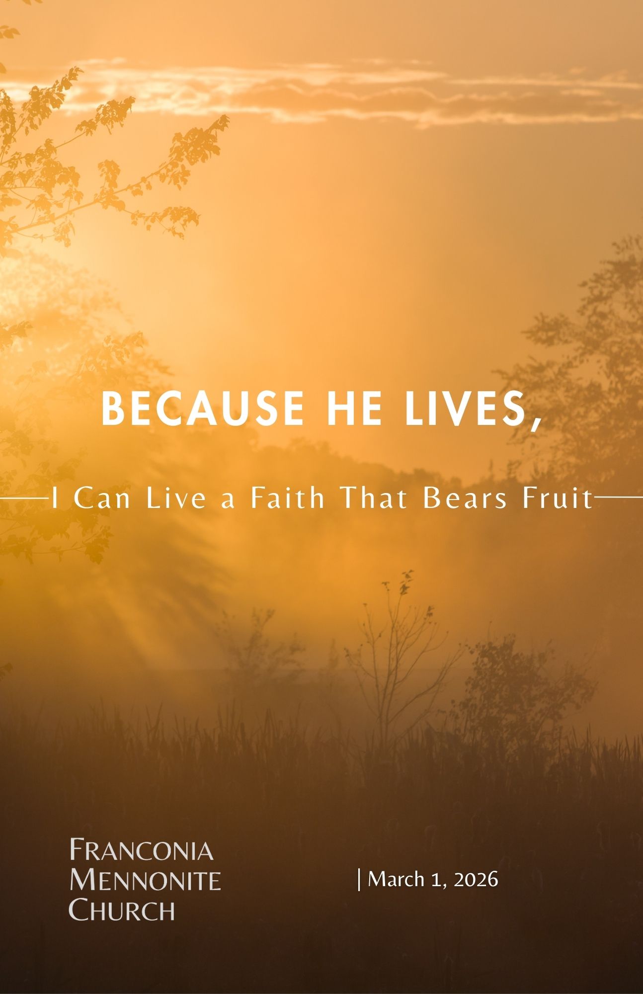 Because He Lives I Can Live a Faith That Bears Fruit