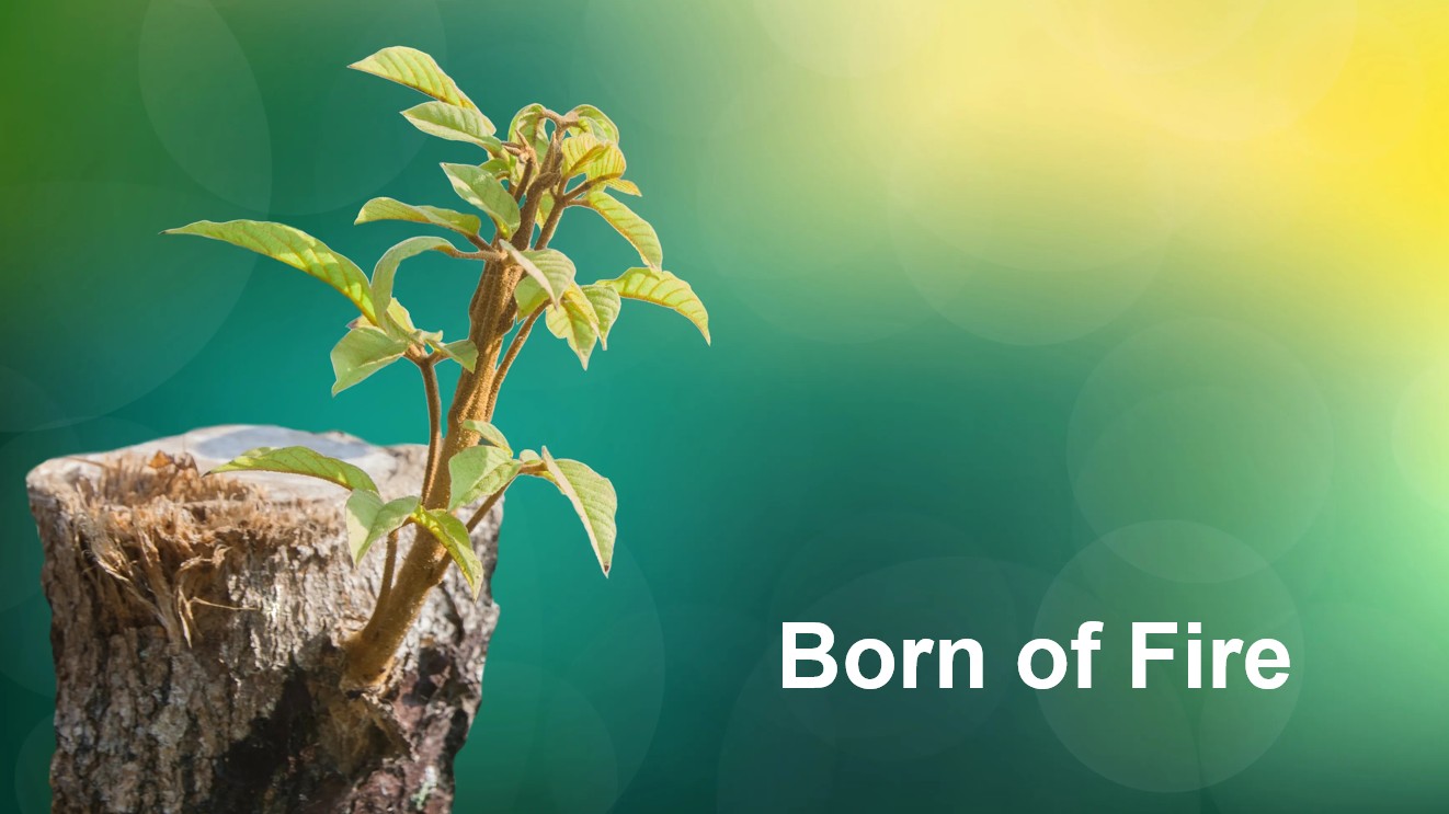 Born of Fire