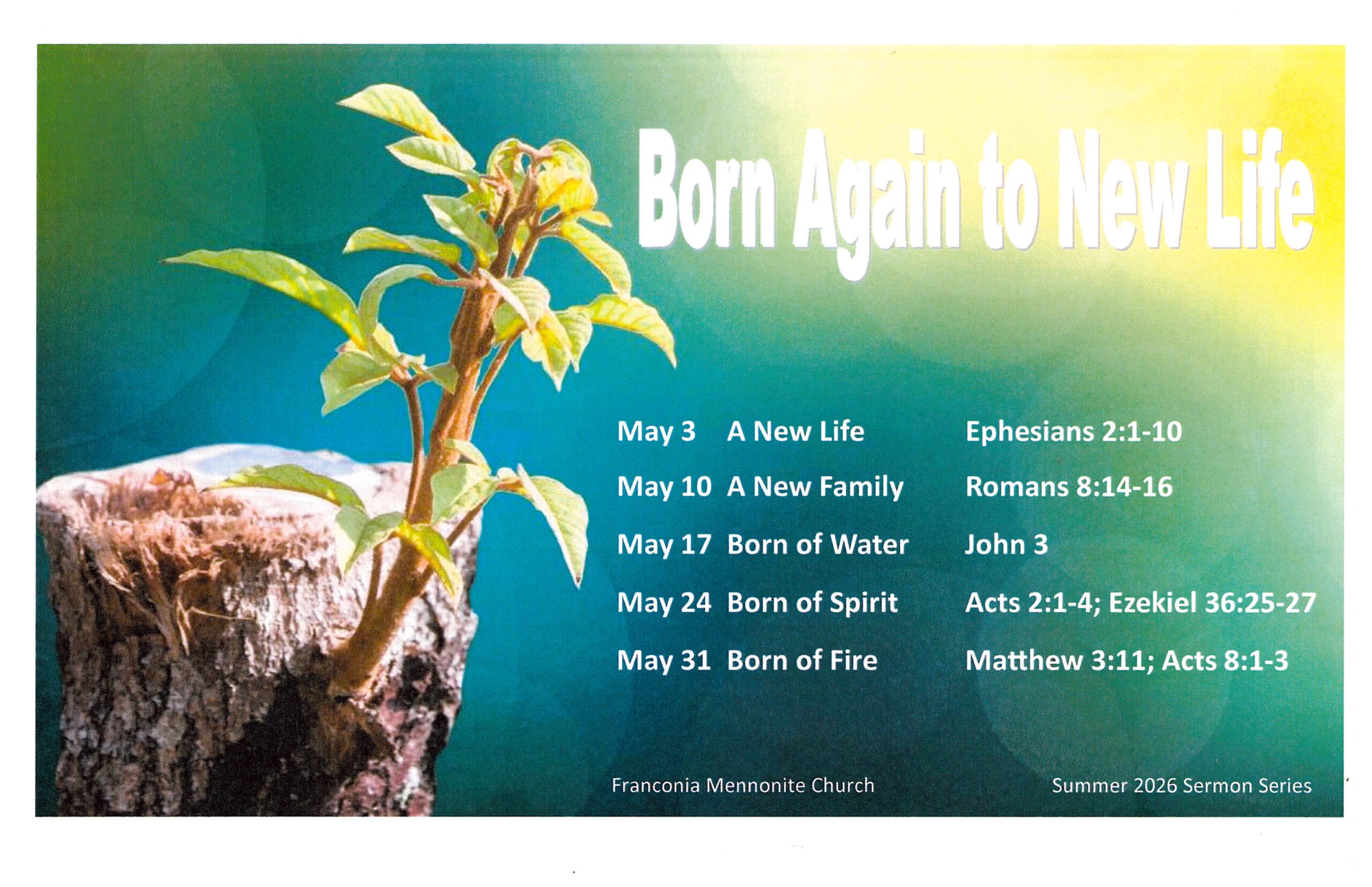 A New Life